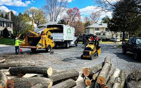 Franklin Park, FL Tree Care  Company